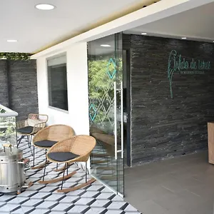 Boutique Nido De Loros Medellín