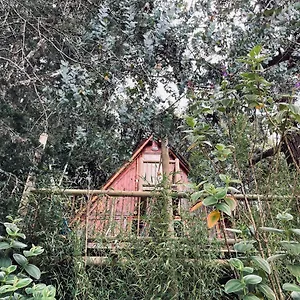 Chalet Santa Casa - El Chalet, Medellín