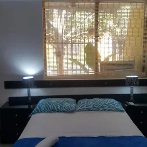 check availability