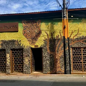 Refugio Del Jaguar Medellin