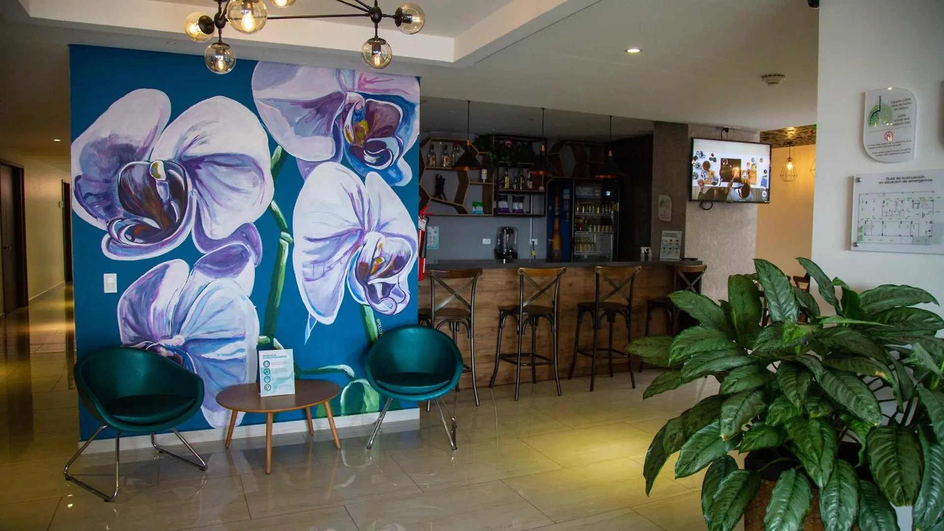 Ecohub Hotel メデジン